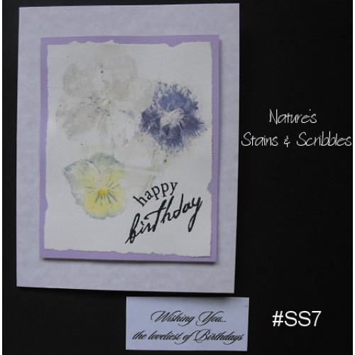 Nature's Stains & Scribbles Greeting Cards - SS7